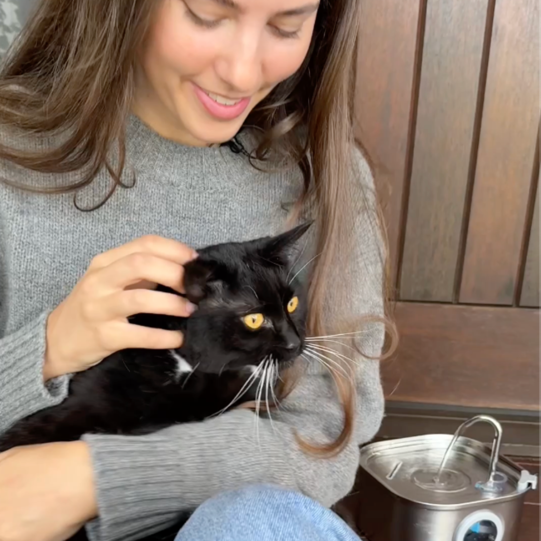 Give Your Cat a Longer, Healthier Life with HydroPet™
