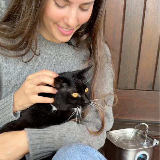 Give Your Cat a Longer, Healthier Life with HydroPet™