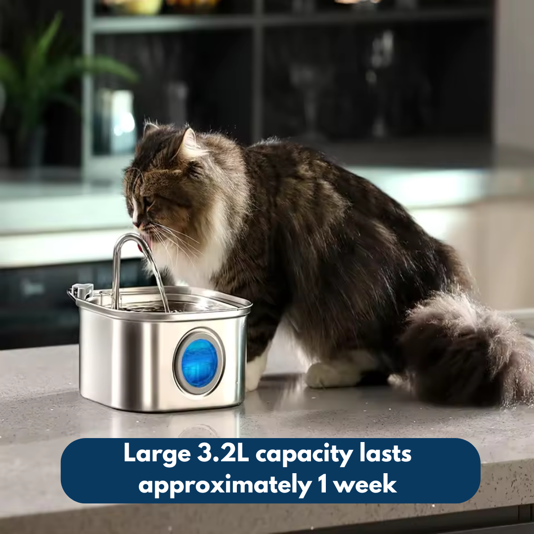 Give Your Cat a Longer, Healthier Life with HydroPet™